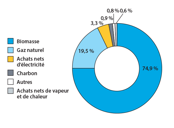 carbon_pie-chart_FR.png