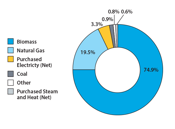 carbon_pie-chart_ANG.png