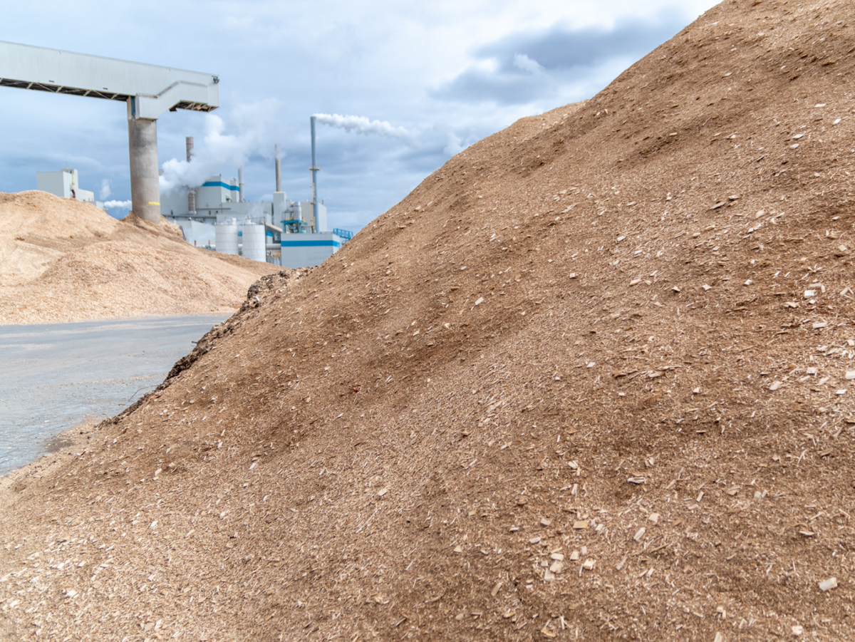 biomass is an important part of our renewable energy plan