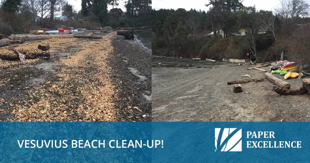 Vesuvius Beach Clean-Up