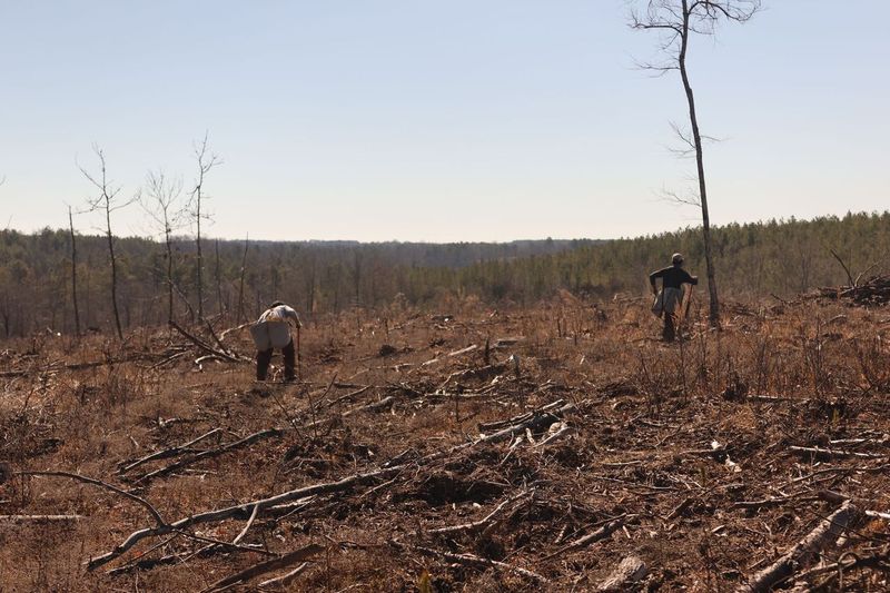 Two men are planting tree seedlings in Arkansas. Tree-planting Initiative with PRINTING United Expo, landowners.