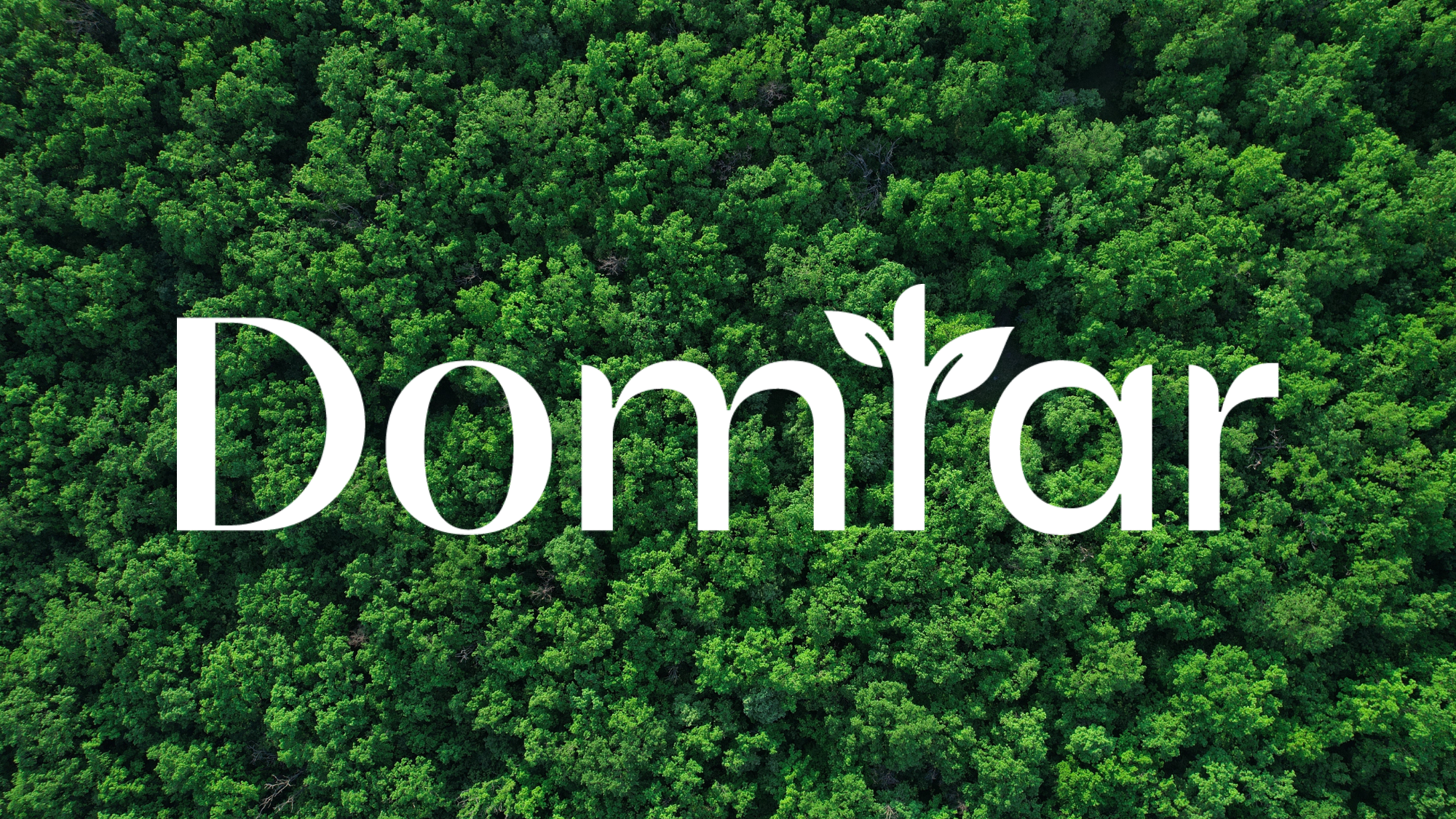 Domtar’s new logo